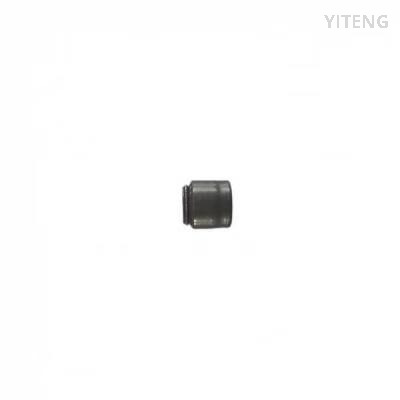 Valve Oil Seals